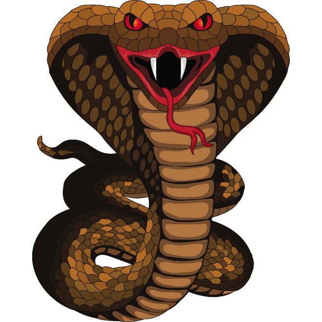 660x660 Cobra Snake Monster Vector