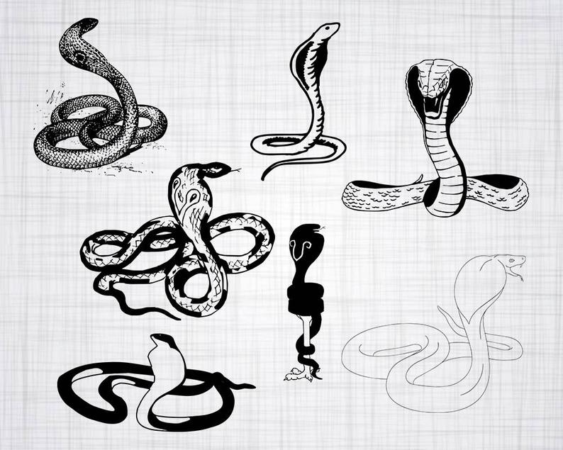 794x635 Cobra Bundle Cobra Cobra Clipart Cobra Etsy