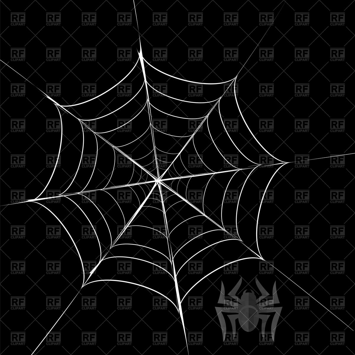 1200x1200 Spider And Cobweb Vector Image Of Plants And Animals