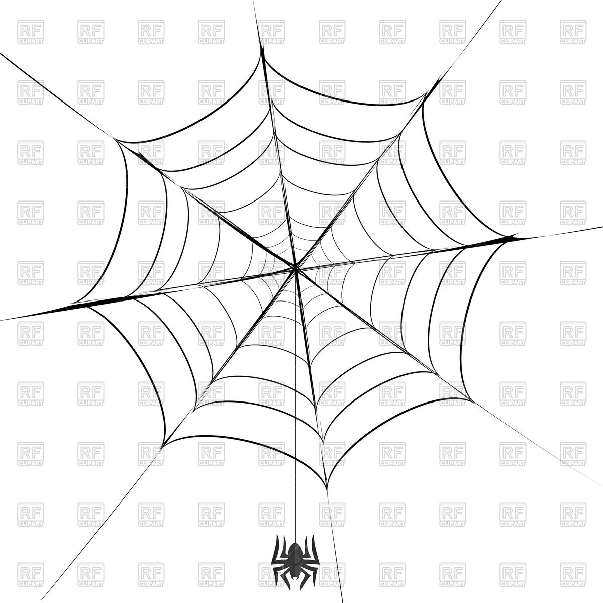 1200x1200 Spider On Cobweb Vector Image Of Plants And Animals