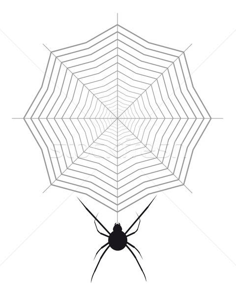 480x600 Spider And Cobweb Vector Illustration Sergey Mayboroda