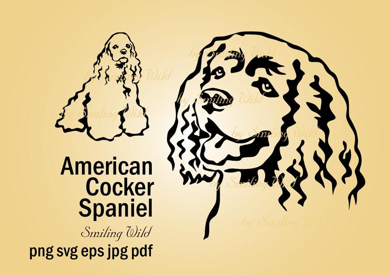 794x562 American Cocker Spaniel Portrait Clipart Vector Graphic Etsy