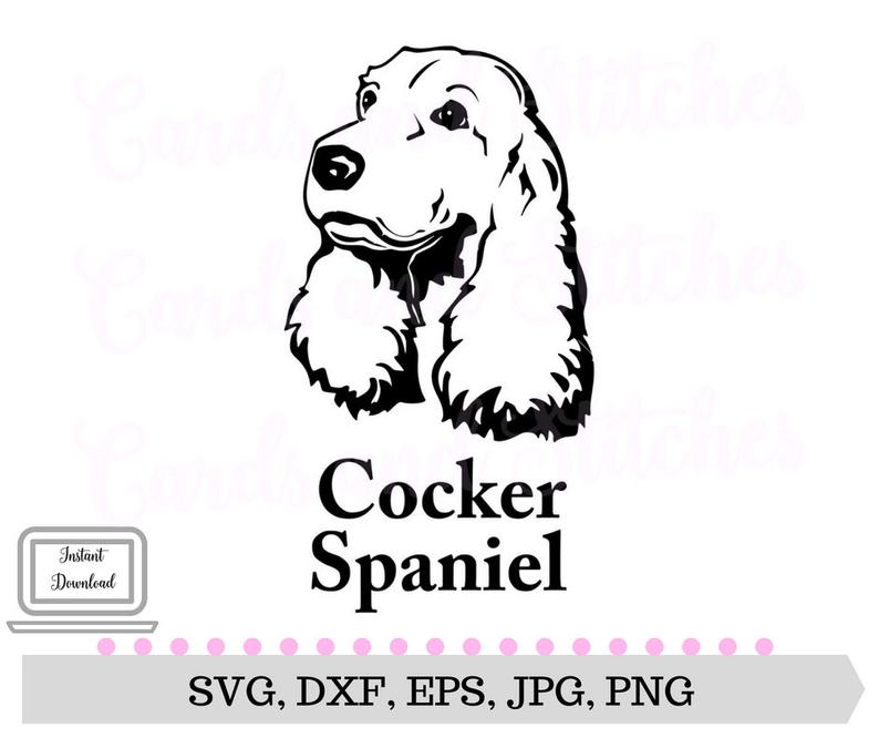 794x666 Cocker Spaniel Dog Cocker Spaniel Clipart Vector Etsy