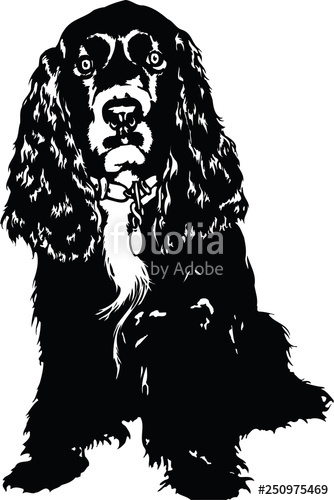 334x500 Cocker Spaniel Vector Illustration Stock Image And Royalty Free