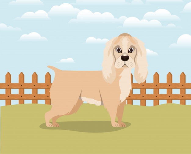 626x506 Cocker Spaniel Vectors, Photos And Free Download
