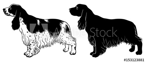 500x216 Cocker Spaniel Set