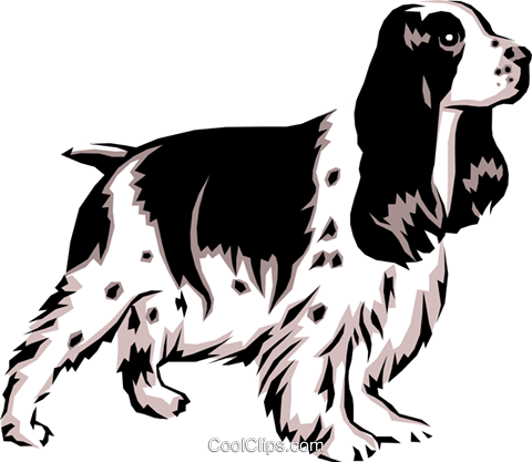 480x417 Cocker Spaniel Royalty Free Vector Clip Art Illustration