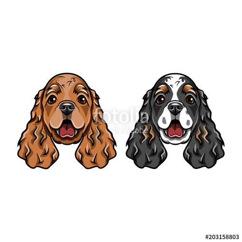 500x500 English Cocker Spaniels Portraits Dog Breed Two Dogs Vector