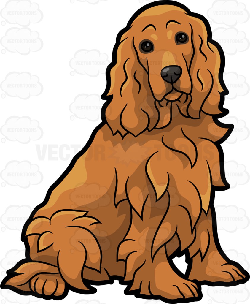 843x1024 Free Collection Of Head Clipart Cocker Spaniel Download