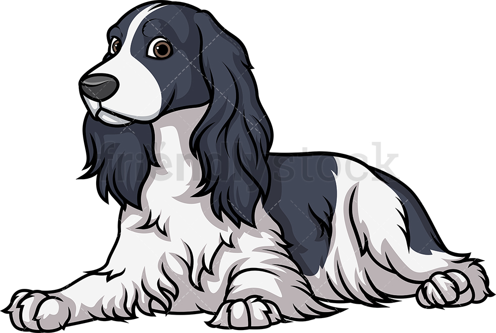 1000x671 Blue Roan English Cocker Spaniel Cartoon Clipart Vector