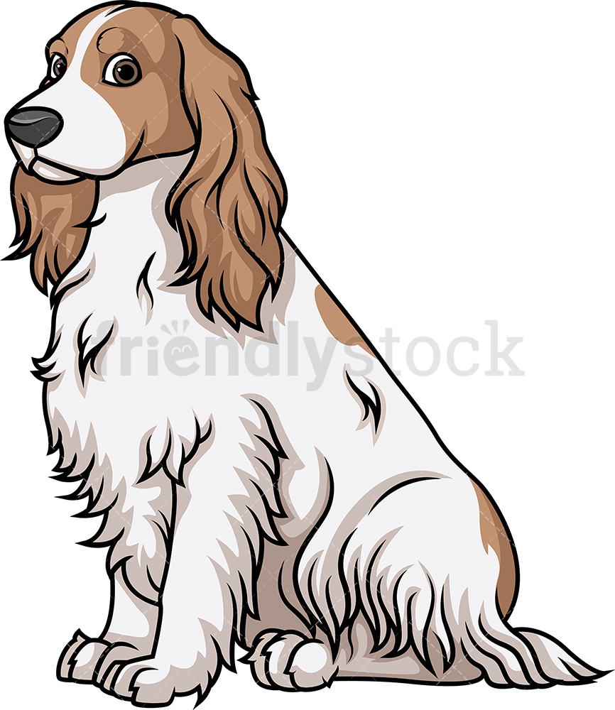 866x1000 Obedient English Cocker Spaniel Sitting Cartoon Clipart Vector