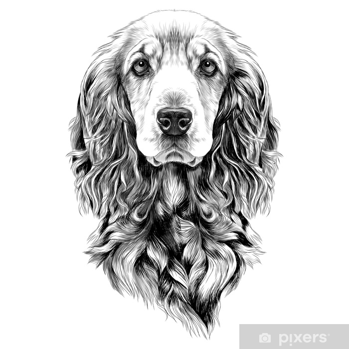 700x700 Dog Breed Cocker Spaniel Muzzle, Sketch Vector Graphics Black