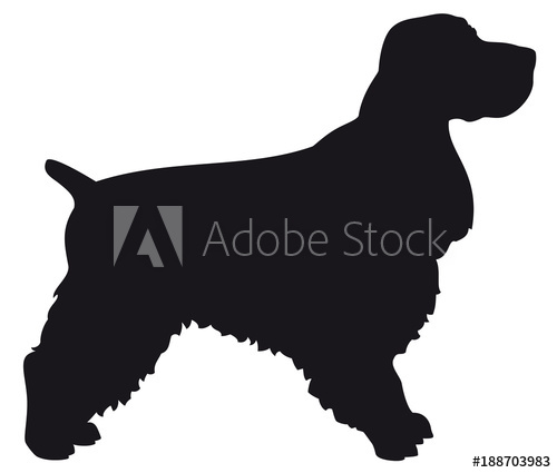 500x425 Cocker Spaniel