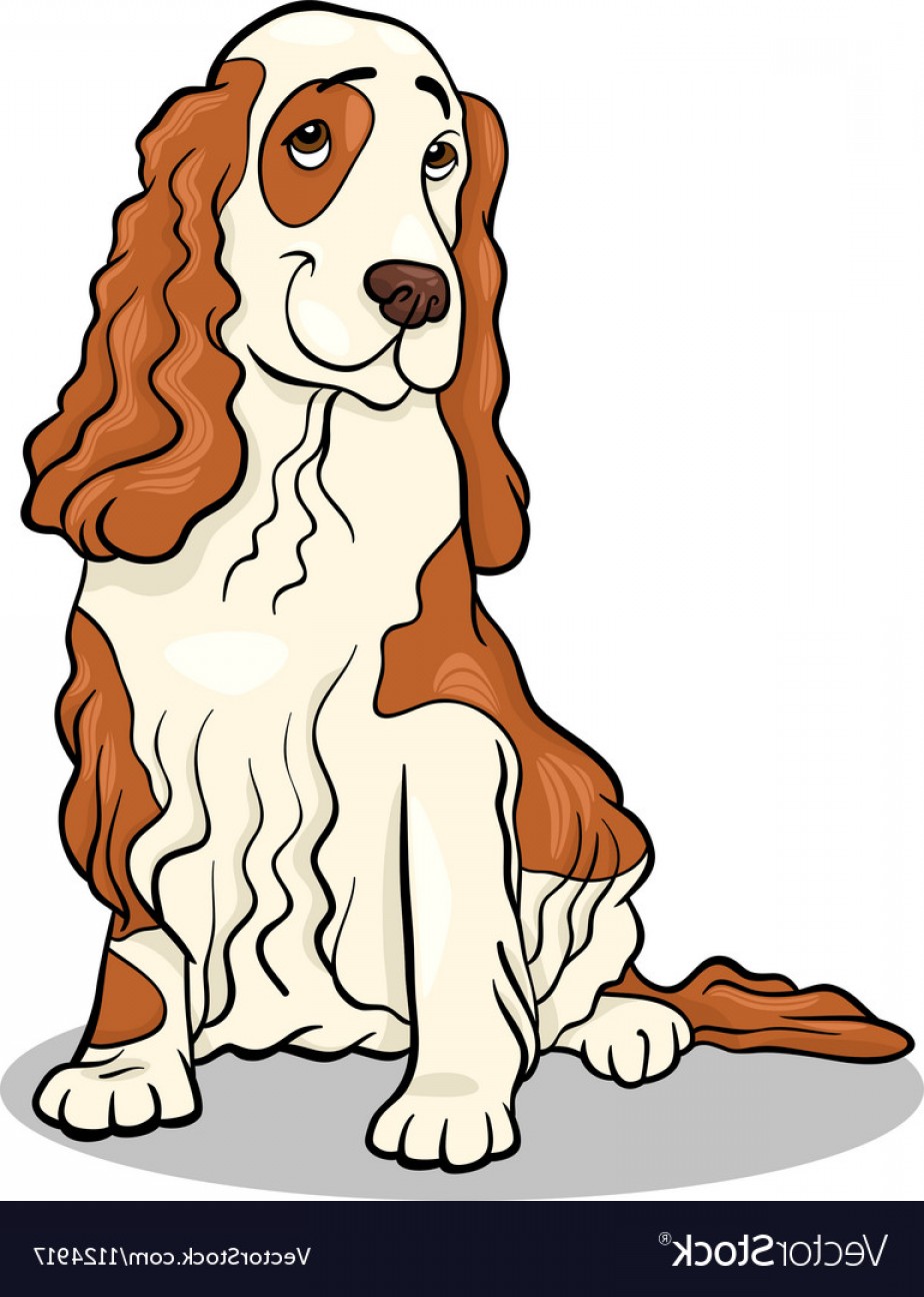 924x1296 Cocker Spaniel Dog Cartoon Vector Soidergi