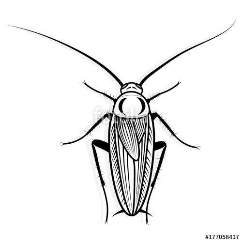 500x500 Cockroach Vector Design Vector Animal Illustration For T Shirt
