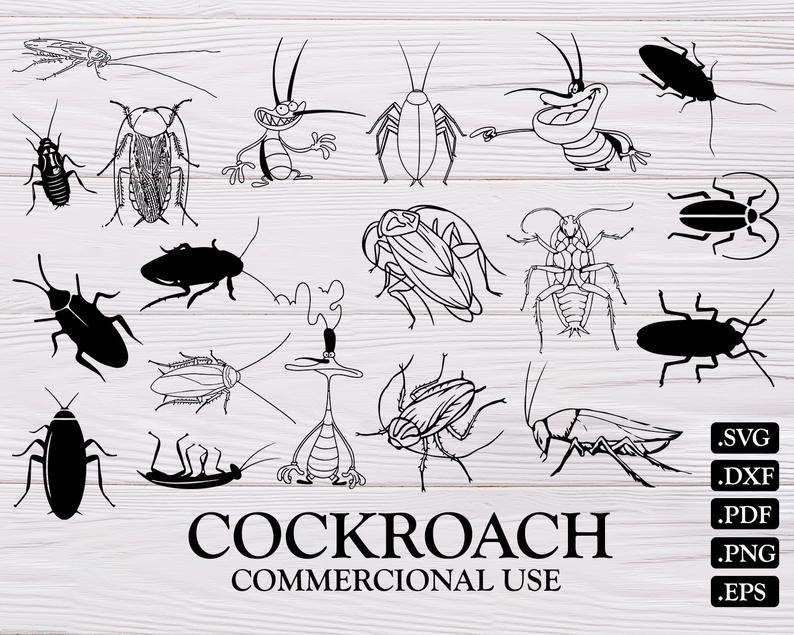 794x635 Cockroach Bug Cockroach Clipart Cockroach Vector Etsy