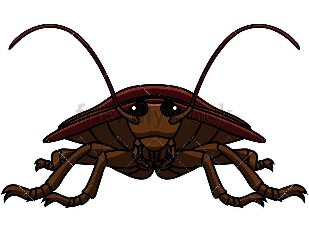 1067x800 Front View Cockroach Cartoon Vector Clipart