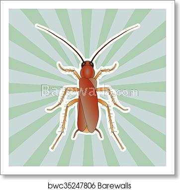 362x382 Insect Anatomy Sticker Blattella Germanica Cockroach Sketch
