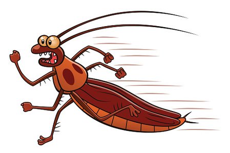 449x299 Running Cockroach Stock Vectors