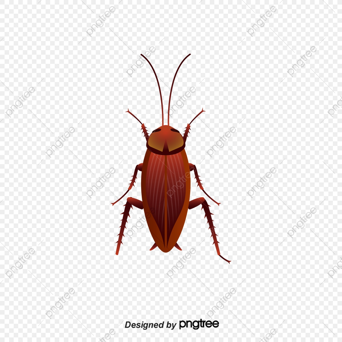 1200x1200 Vector Cartoon Hand Painted Red Back Cockroach, Cartoon Vector