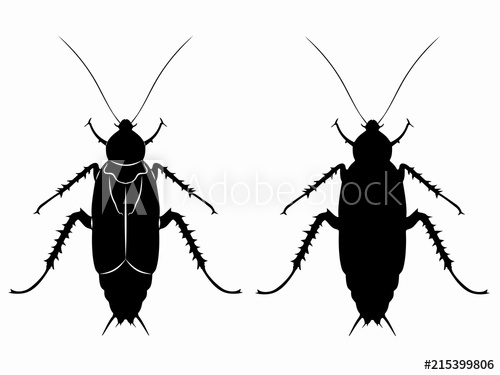 500x375 Silhouette Of Cockroach Vector Draw