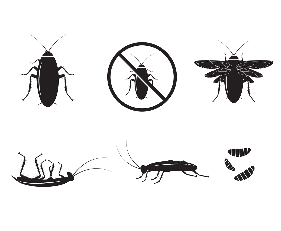 1136x936 Cockroach Silhouette Vector Vector Art Graphics