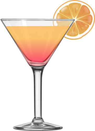 364x500 Tequila Sunrise Cocktail Vector Image