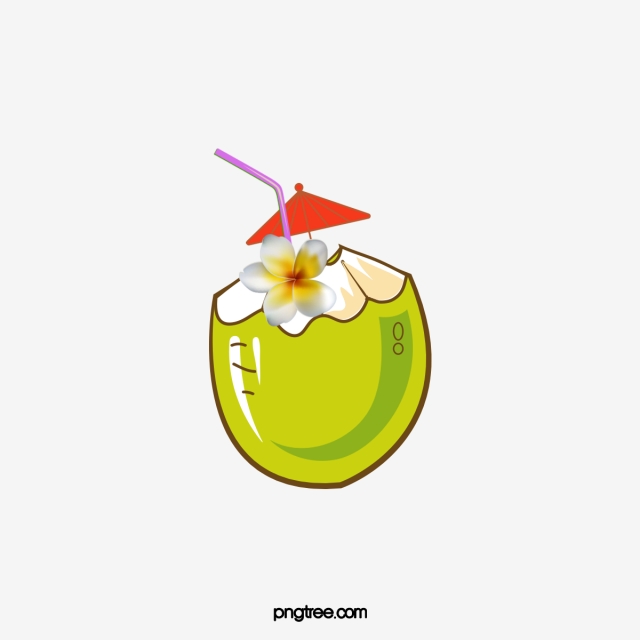 640x640 Coconut Drink Vector, Coconut Vector, Drink Vector, Drink Clipart