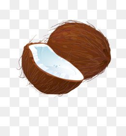 260x280 Coconut Vector Png Free Download