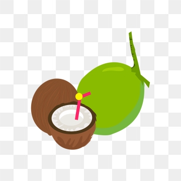 360x360 Coconut Water Png, Vector, And Clipart With Transparent