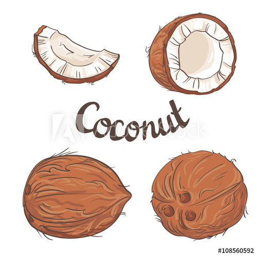 500x498 Coconut Set