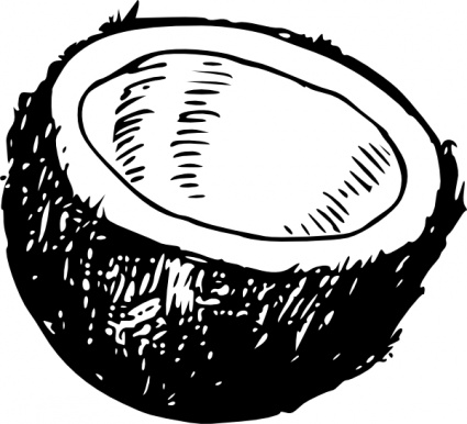 425x386 Free Download Of Coconut Vector Graphics And Illustrations