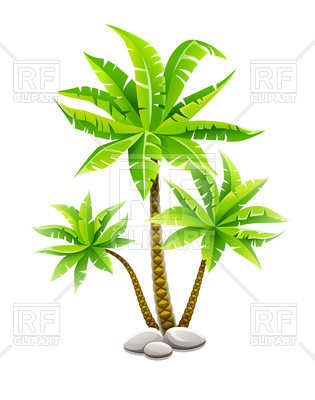 315x400 Tropical Coconut Palm Trees