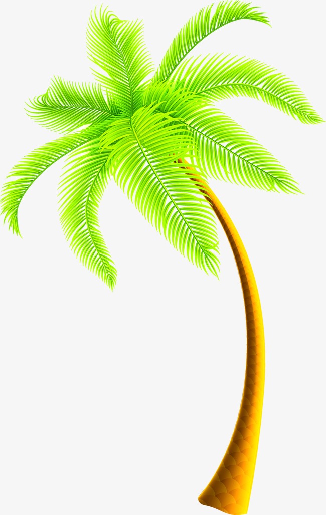 650x1028 Coco, Trees, Coconuts Png And Vector For Free Download