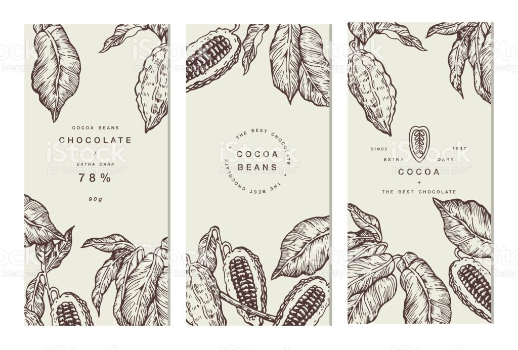1024x692 Cocoa Bean Tree Banner Collection Or Packaging Design Design