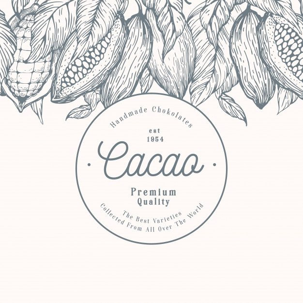 626x626 Cocoa Bean Tree Banner Template Chocolate Cocoa Beans Background