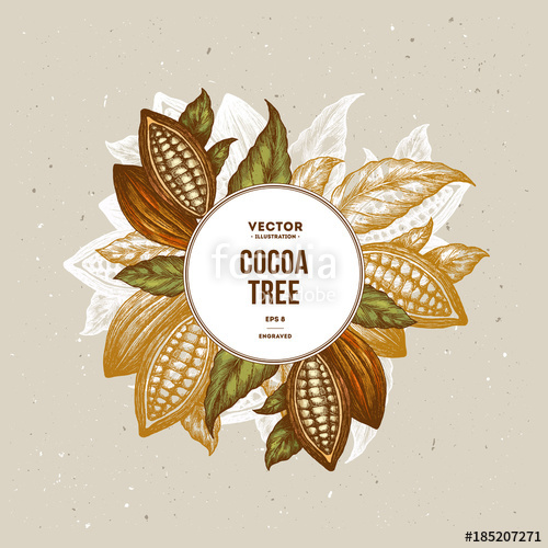 500x500 Cocoa Bean Tree Design Template Engraved Style Illustration