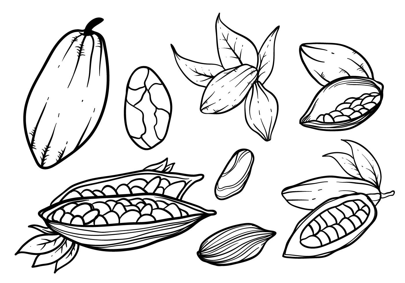 1400x980 Free Hand Drawn Cocoa Beans Vector Cocoa Cocoa, Drawings