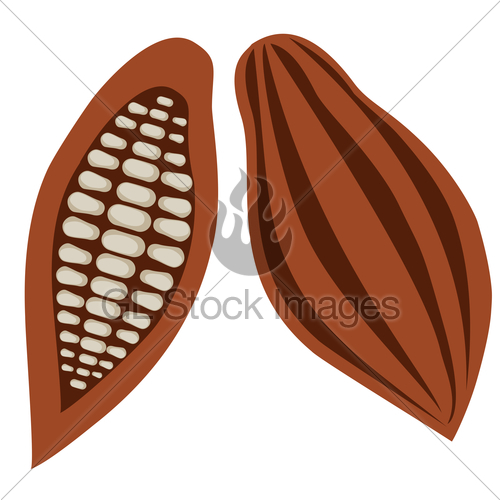 500x500 Vector Cocoa Beans Gl Stock Images