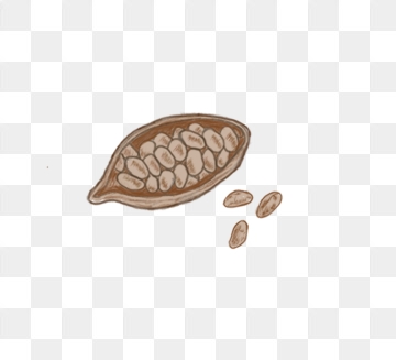 360x327 Cocoa Bean Png, Vector, And Clipart With Transparent