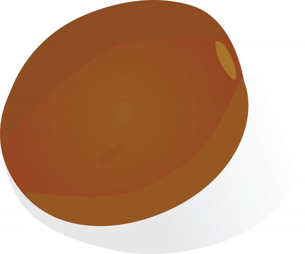 600x499 Illustration Cartoon Coconut Vector On White Background