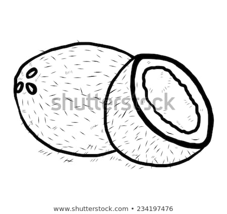 450x425 Beautiful Coconut Cartoon Vector Illustration Black White Stock