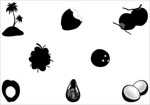 Coconut Silhouette Vector