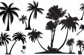Coconut Tree Silhouette Vector 280x185 Coconut Tree Silhouette Vector