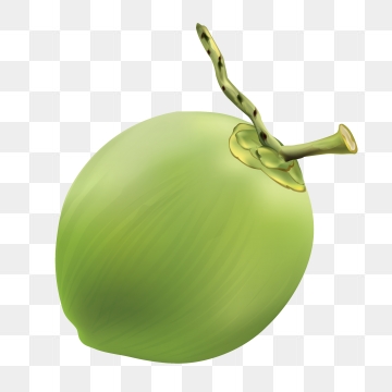 360x360 Coconut Vector, Free Download Coconut Leaves, Coconut Oil, Coconut