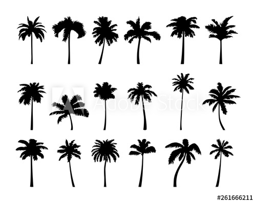 Coconut Palm Tree Silhouette Icon Set 500x397 Coconut Palm Tree Silhouette Icon Set