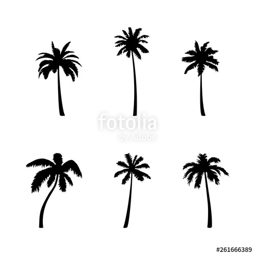 Coconut Palm Tree Silhouette Icon Set Stock Image And Royalty 500x500 Coconut Palm Tree Silhouette Icon Set Stock Image And Royalty