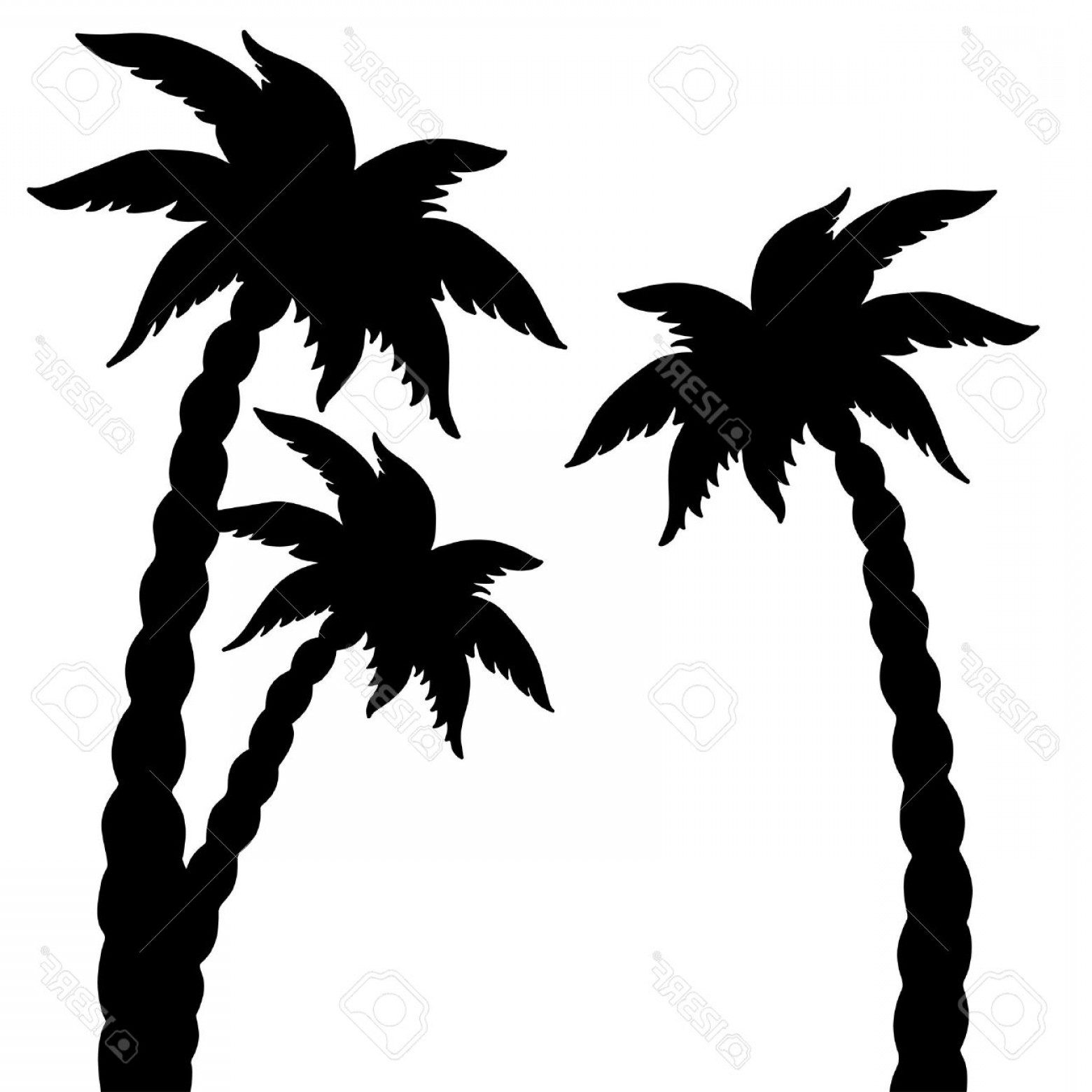 Photoset Coconut Palms Trees Silhouettes Isolated On White 1560x1560 Photoset Coconut Palms Trees Silhouettes Isolated On White