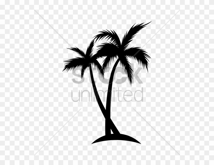 Silhouette Of Coconut Tree Vector Image 880x680 Silhouette Of Coconut Tree Vector Image