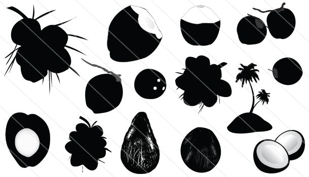 Coconut Silhouette Vector 610x350 Coconut Silhouette Vector